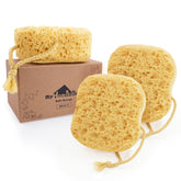 myHomeBody bath sponge large square 3pack shows generous size for rich lather and easy handling