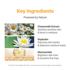 NACIFIC Fresh Herb Origin cream texture swirled on skin for quick absorption