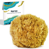 Naroa exfoliating sponge for shower shows gentle texture for refreshed skin