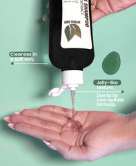 Natural Sant Rosemary & Cinchona ingredients highlight rosemary oil for scalp vitality.