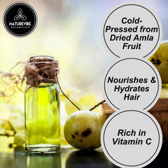 Naturevibe Botanicals Amla Oil hair care nourishes scalp and strengthens strands
