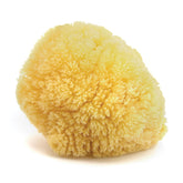 Neptune Caribbean Sea Sponge hand-cut large dry — ideal for gentle daily cleansing.