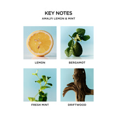 NEST New York Amalfi Lemon & Mint ingredients swatch shows citrus zest and gentle cleansers