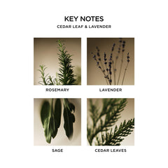 NEST New York Cedar Leaf & Lavender on bathroom shelf creates spa like atmosphere