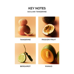 Nest New York Sicilian Tangerine ingredients close-up highlights natural plant extracts