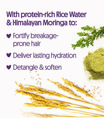 Not Your Mother's Naturals Rice Water Moringa blend ingredients close-up shows nourishment from natural proteins.