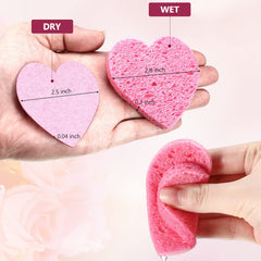 Nuenen expanded sponge after water shows soft porous surface ideal for thorough yet gentle cleansing