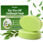 Oiangna front packaging showing two tea tree soap bars and clear labeling for quick identification and benefit