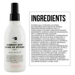 Oligo Professionnel Calura Blowout Mist damp-hair application offers UV protection and frizz control