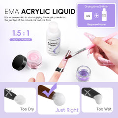 PEACECOLOR acrylic powder colors 11 shades for French tips and blends.