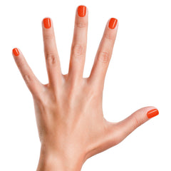 Piggy Paint basecoat application for chip resistance