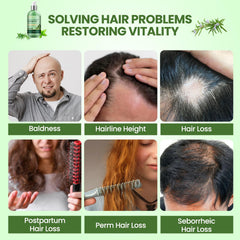 PIPIHUA Rosemary Shampoo with tea tree oil emphasizes scalp refreshment and clarity