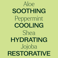 Plant Therapy Peppermint Body Lotion aloe-shea balance close-up demonstrates botanical care for skin.