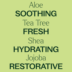 Plant Therapy Tea Tree essential oil scent in lotion