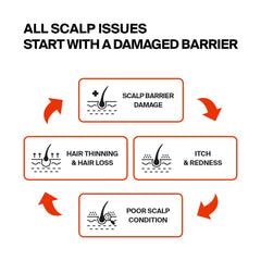 PURCELL Pixcell Biom application drops on scalp suggest quick, targeted nourishment.