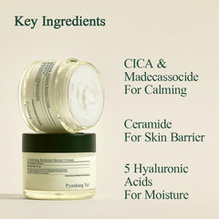 Pyunkang Yul PKY Calming Moisture Barrier Cream texture closeup – non-sticky hydration