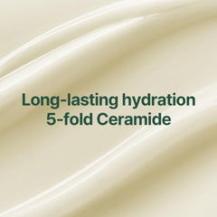 Pyunkang Yul PKY Calming Moisture Cream jar close-up showing creamy texture