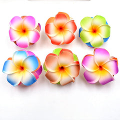 Qintreesify plumeria clip full set display vibrant island colors