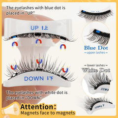 QUEWEL applicator assists precise magnetic lash placement