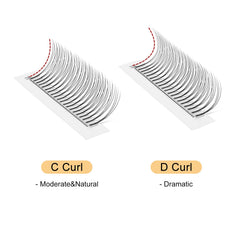 QUEWEL 3D 0.10mm C curl premade fans close-up showing matte base