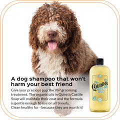 Quinn's Pure Castile unscented used as shampoo and facial cleanser.
