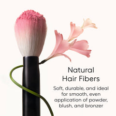 rephr brush 05 powder blending bristles blend evenly for natural finish