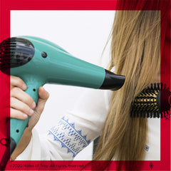 Revlon Volume Booster highlights ionic technology for smoother, frizz-free shine.