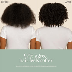 Rizos Curls Biotin Wash Bundle packshot — clear branding for curls care.