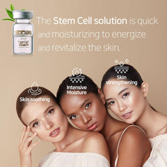 Ronas Stem Cell Solution ampoules neatly arranged in a tray for easy regimen.