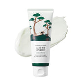 ROUND LAB Pine Calming Cica Cleanser foaming action for refreshing cleanse