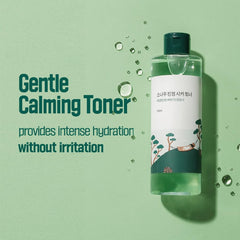 ROUND LAB Pine Calming CICA Toner on a cotton pad for gentle exfoliation.