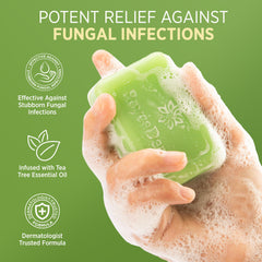 Roycederm tea tree soap lather with bubbles for refreshing body cleanse