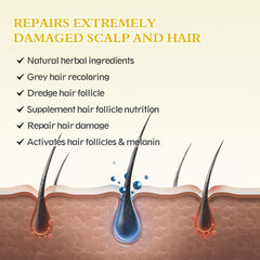 Ruahouine woman applying minoxidil on scalp during daily routine.