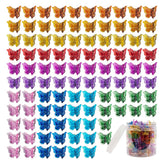 Ruocce butterfly hair clip colorful set for quick daily hairstyles.