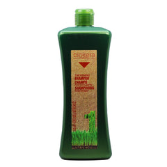 SALERM Biokera Natura Fortifying Shampoo bottle with ginseng and ginkgo for scalp nourishment