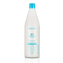SALERM Hydrating Shampoo 21 Silk Protein bottle signals deep hydration for dry, strengthened hair.