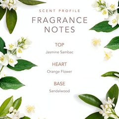 SCENT BEAUTY fragrance notes chart illustrating jasmine sambac, orange flower, sandalwood.