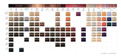 Schwarzkopf IGORA ROYAL 4-0 mixing and application shot for smooth coverage.