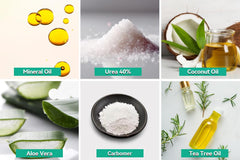 Aloe Vera extract visual highlighting skin repair support