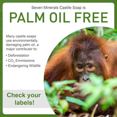 Seven Minerals Castile Soap box and bottle emphasize palm-free, eco-conscious formulation