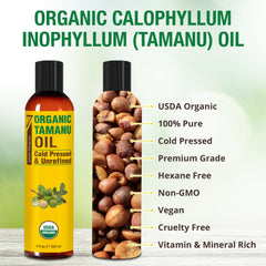 Seven Minerals Tamanu Oil glass bottle closeup, pure organic formula for skin.