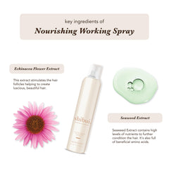 SHIBUI Nourishing Working Spray applying hair volume with color-safe formula.