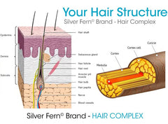Silver Fern Hair Complex SeaBerry ingredient highlights nourishing scalp care.