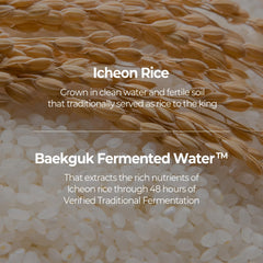 SKINFOOD 1957 Rice Toner Pad pore-care detail refined pores