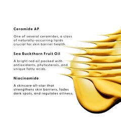 Stratia Lipid Gold ingredients-closeup highlights ceramides and niacinamide supporting resilient skin.
