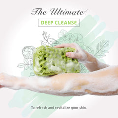 Sunlite Spongentle textured side targets oil and pore cleansing