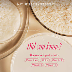 The Face Shop Rice Water Bright Travel Kit foaming cleanser reveals rich lather for pore-clearing routine.