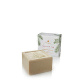 Thymes Frasier Fir Bar Soap lathering to moisturize and refresh hands.