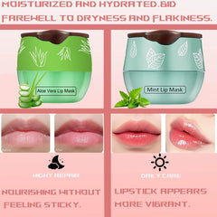 TIRDET bee lip balm honey pot with applicator showing precise application.