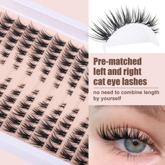 TOOCHUNAG CD curl lashes delivering balanced inner softness and outer lift